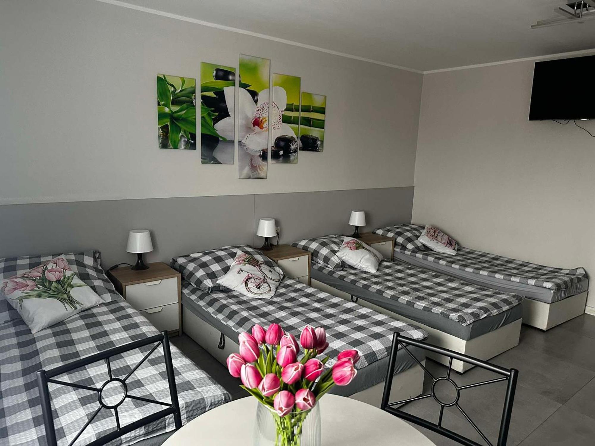 Apartamenty Witnica * Witnica